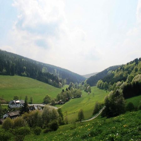 Large Holiday Home In Willingen With Private Garden And Several Terraces Extérieur photo