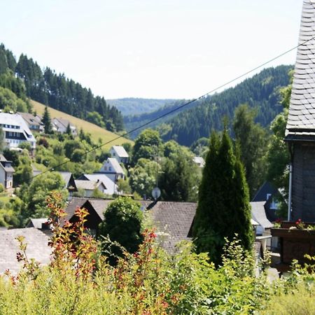 Large Holiday Home In Willingen With Private Garden And Several Terraces Extérieur photo