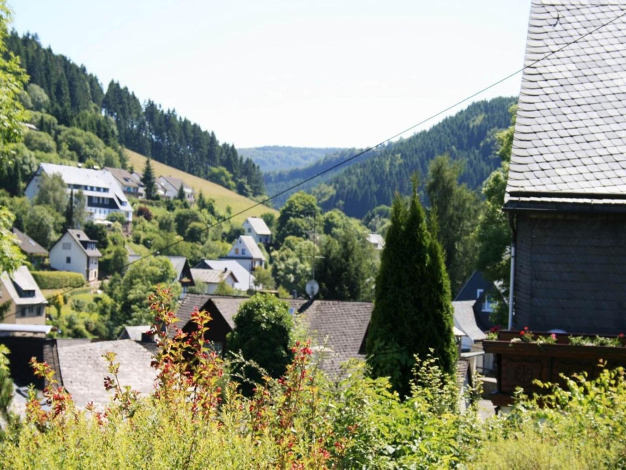 Large Holiday Home In Willingen With Private Garden And Several Terraces Extérieur photo