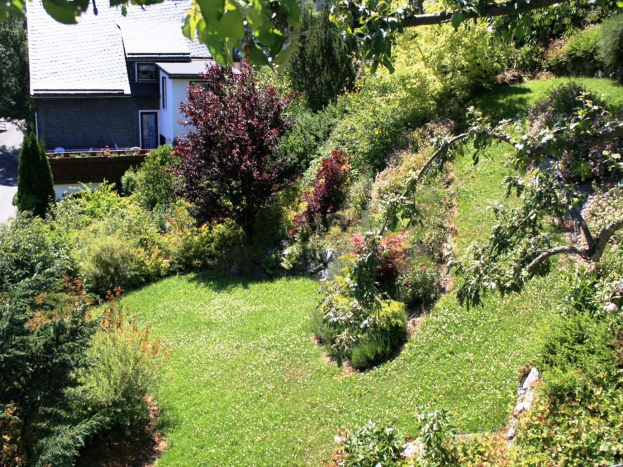 Large Holiday Home In Willingen With Private Garden And Several Terraces Extérieur photo