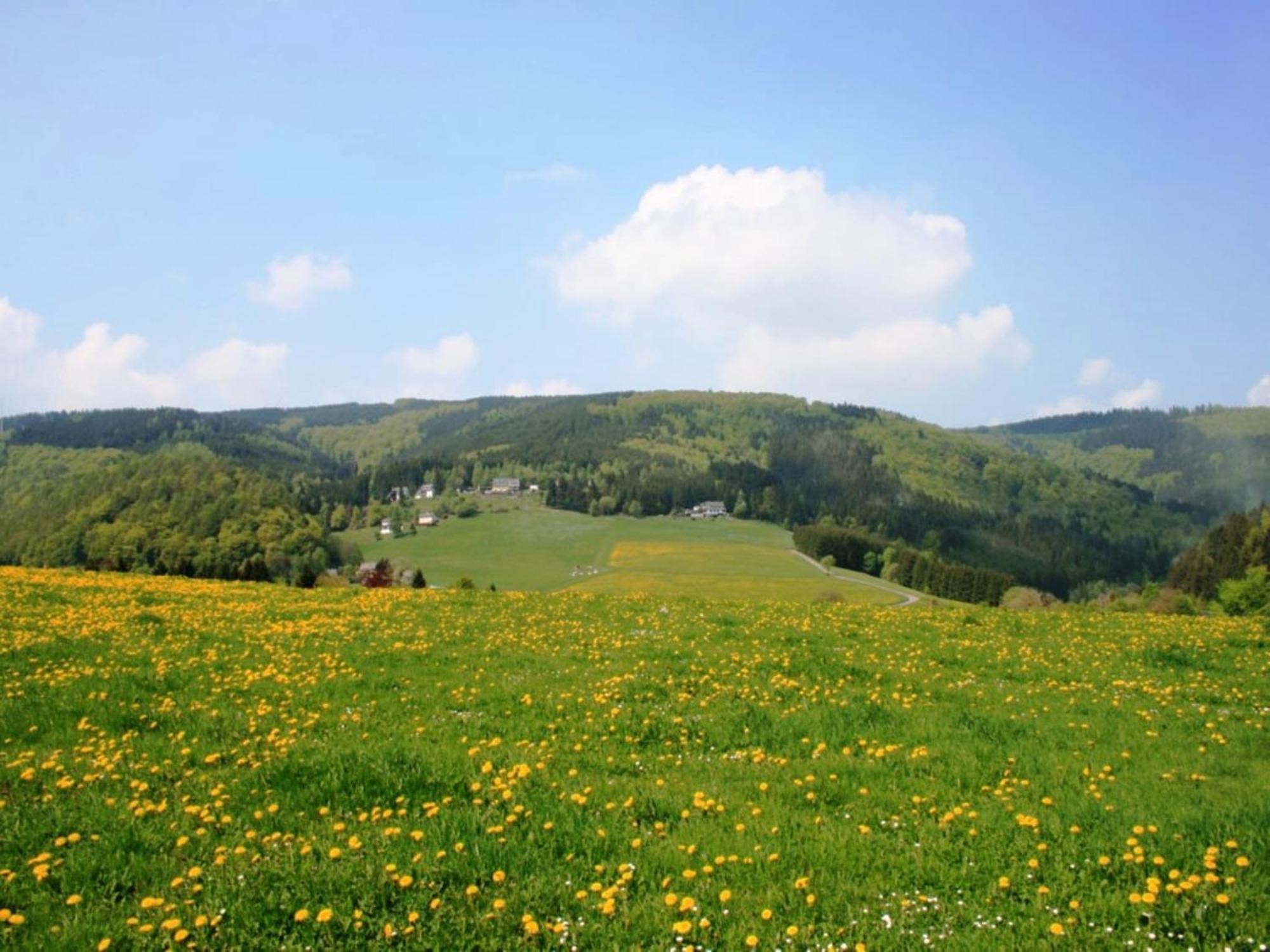 Large Holiday Home In Willingen With Private Garden And Several Terraces Extérieur photo