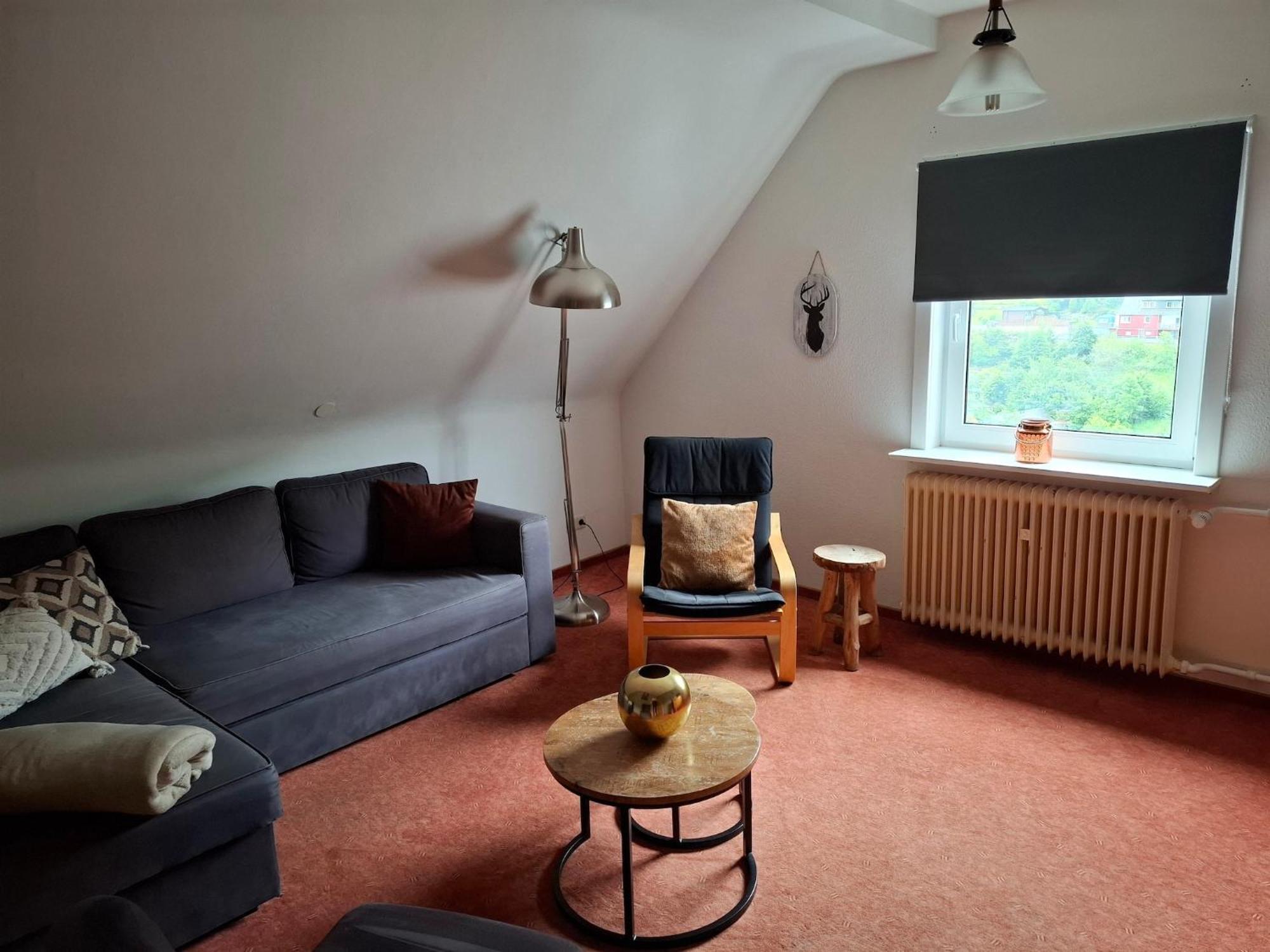 Large Holiday Home In Willingen With Private Garden And Several Terraces Extérieur photo